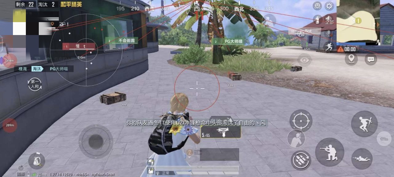 抖音和平精英飞机上唱歌